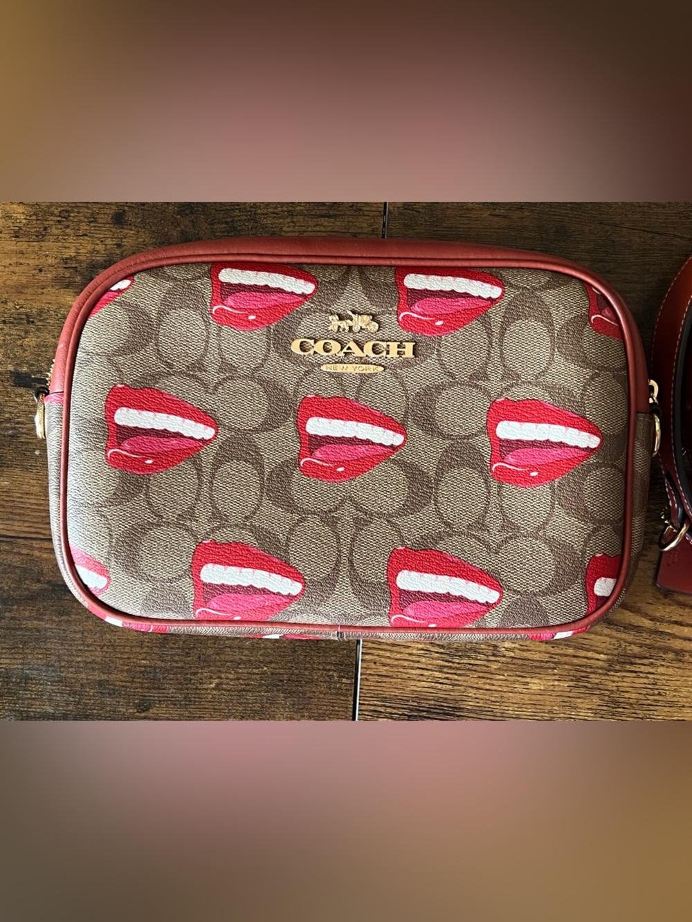Limited editionCoach CQ034 x Tom Wesselmann Jamie CameraBag In Signature canvas